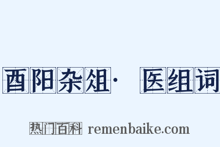 酉阳杂俎·医组词是什么意思的图片